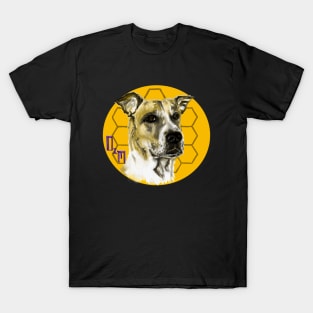 Honey T-Shirt